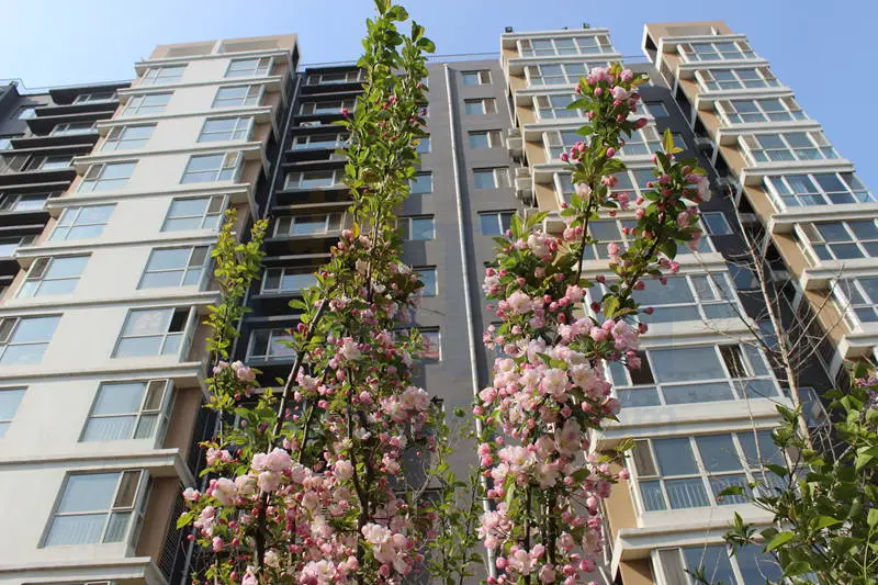 2 环境: 服务: 人均消费:6700 商户描述:水榭花城位于保定新市区复兴